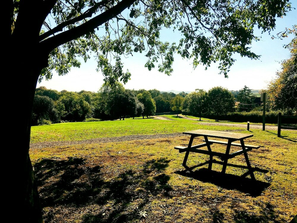 Фото Wookey Hole Hotel