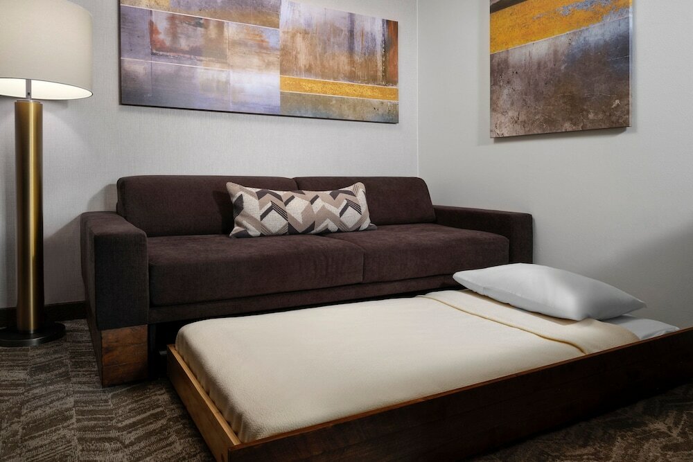 Фото Springhill Suites by Marriott Pittsburgh Mt. Lebanon
