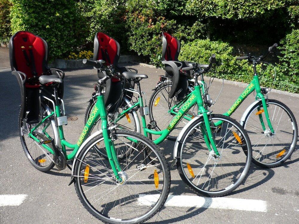 Фото Albergo Losone