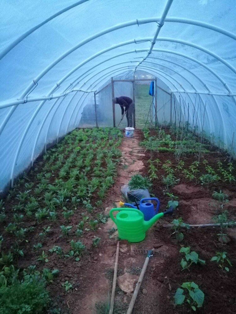 Фото Villa Flowers