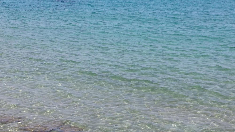 Фото Perla del Sole