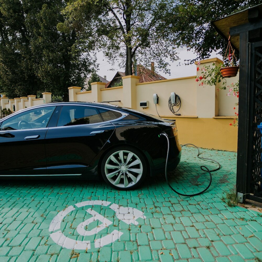 Фото Eco friendly Hotel Dalia