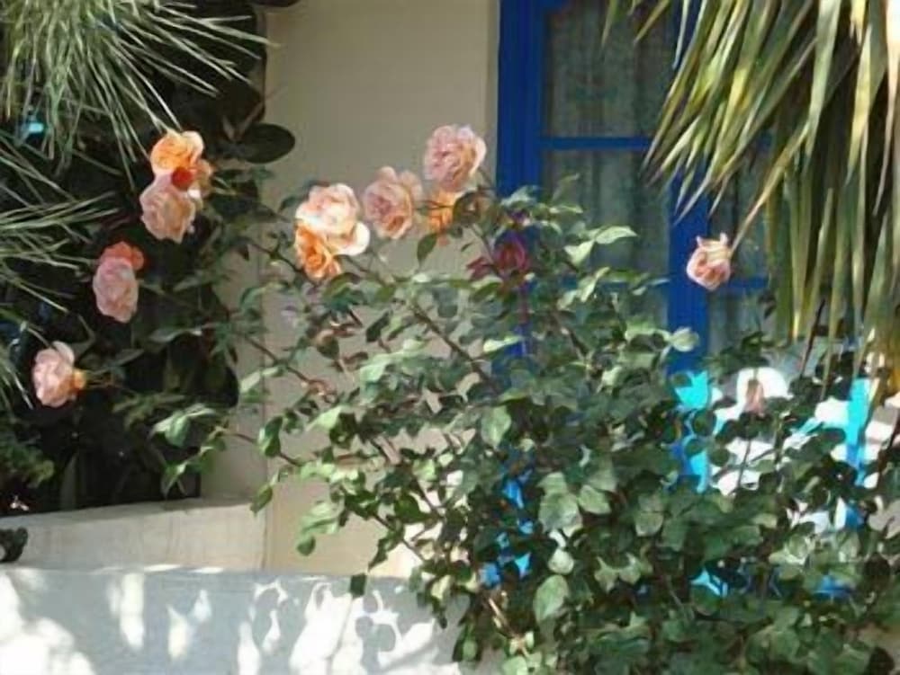 Фото Creta Sun Hotel Studios