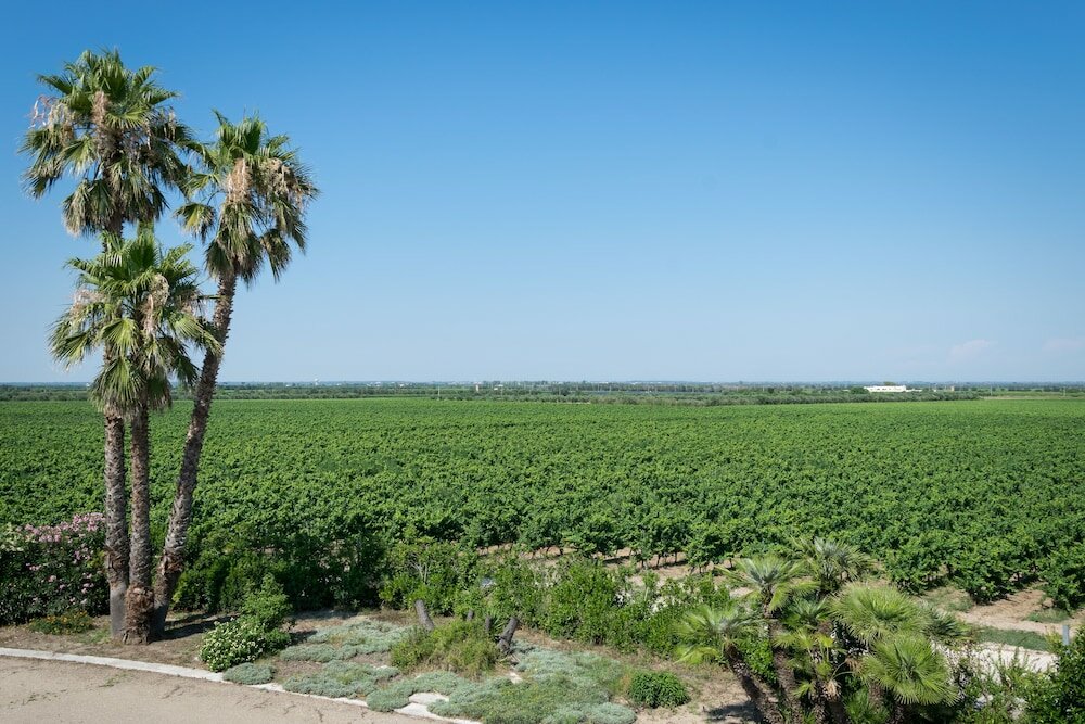Фото Masseria Mazzetta Salento