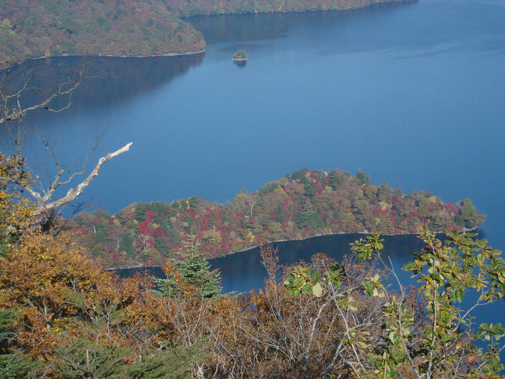 Фото Nikko Astraea Hotel