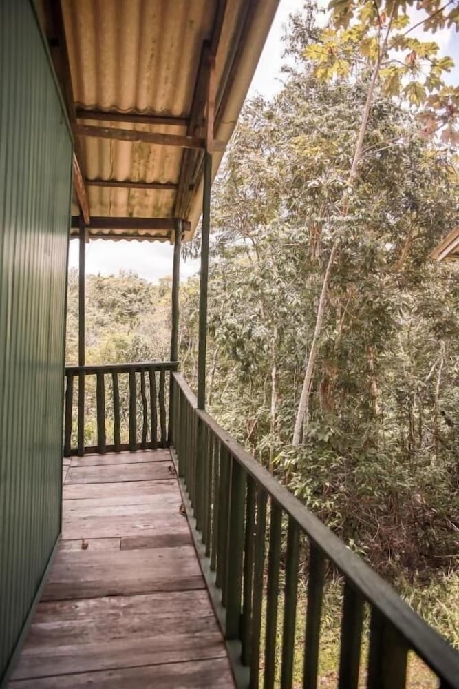 Фото Amazonia Jungle Hotel