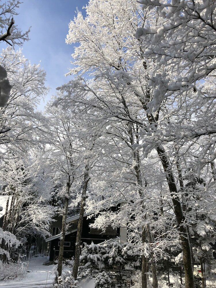Фото The Guest House Japan Hakuba