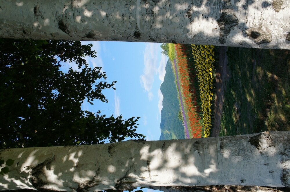 Фото Pension Hoshi Ni Negaiwo