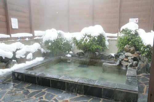 Гостиница Hakuba Paipu No Kemuri в Хакубе