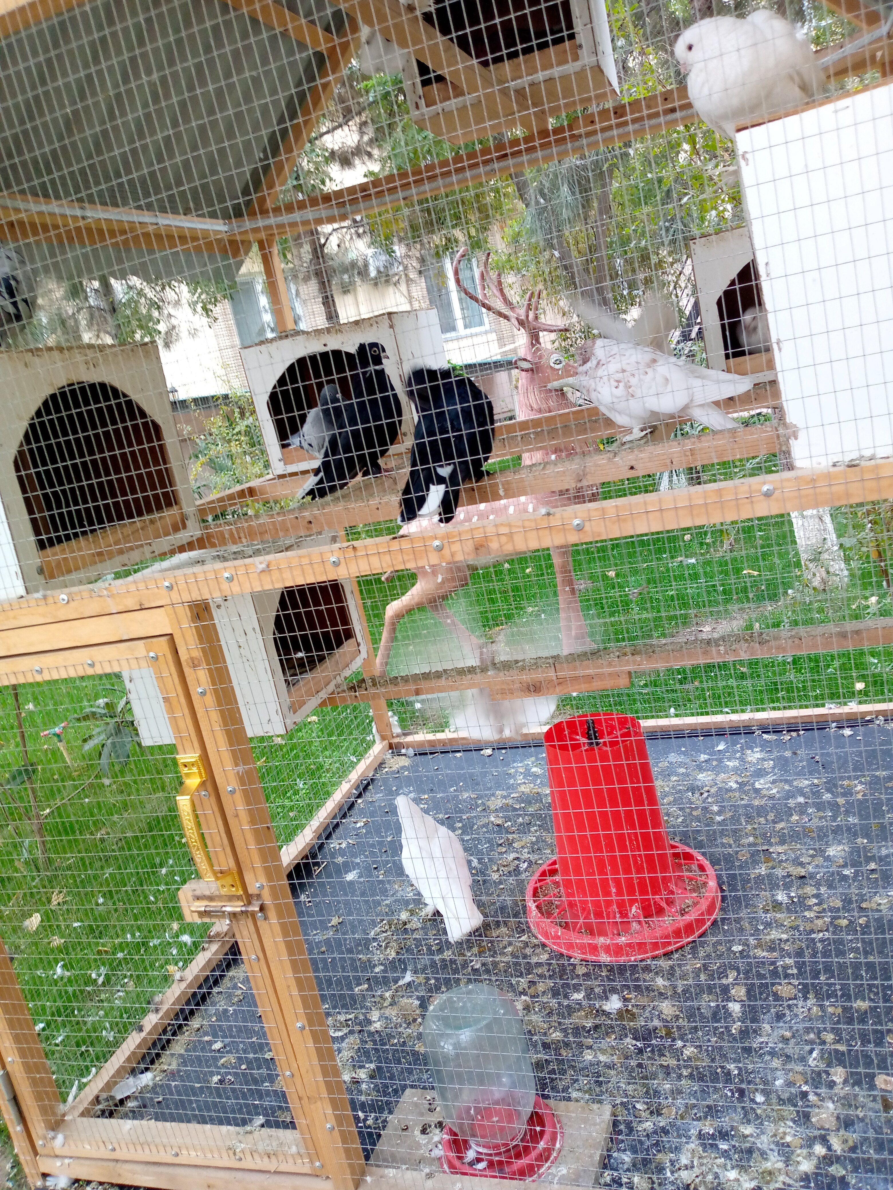 Фото Asia Бухара