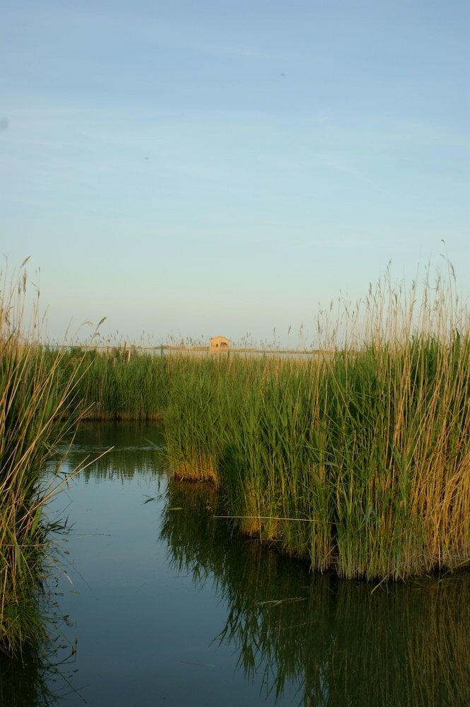 Фото Hotel Tessarin