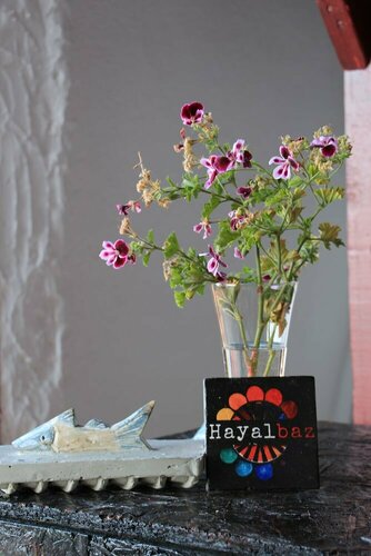 Гостиница Hayalbaz Butik Otel в Карабуруне