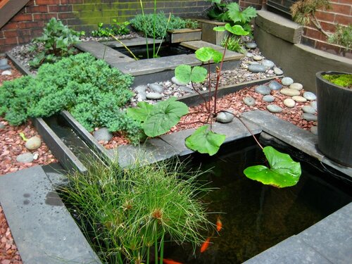 Внешний вид отеля Clarendon Square Bed & Breakfast в Бостоне, фото 5