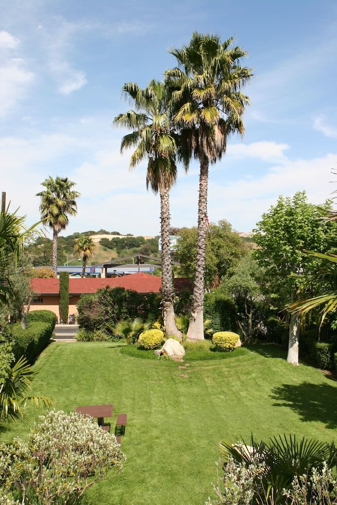 Фото Adelaide Inn