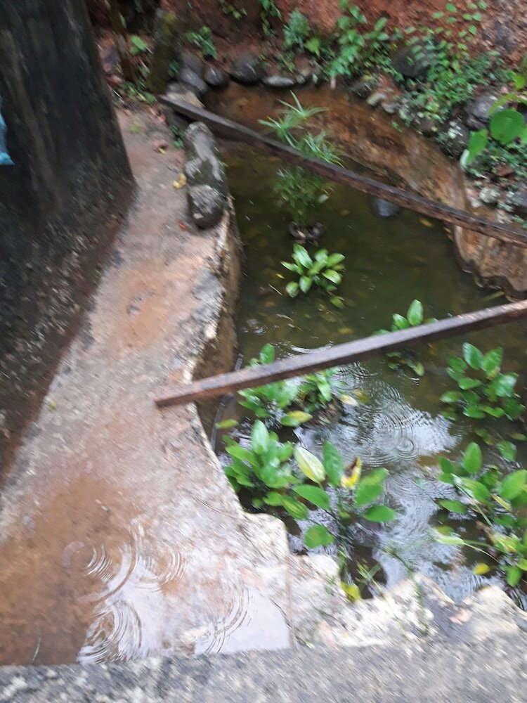 Фото Ka Mario Guesthouse