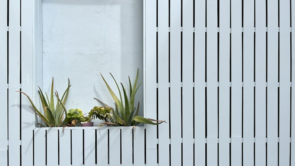 Фото Casa dos Lóios by Shiadu