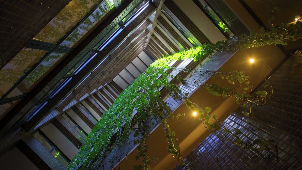 Фото SJ Business San Juan São Paulo