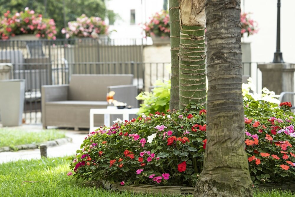 Фото Villa Elisio Hotel & SPA