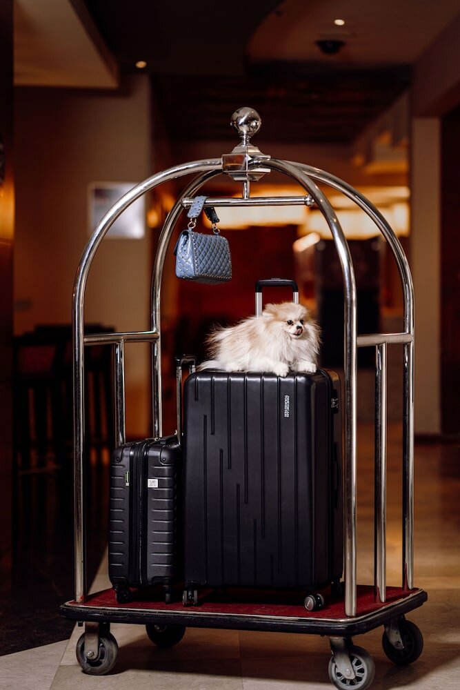 Фото Yerevan Place Hotel