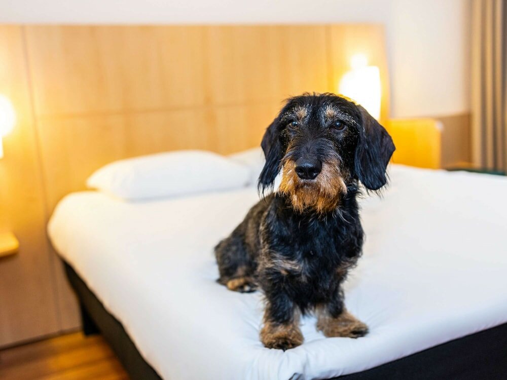 Фото Ibis Antwerpen Centrum