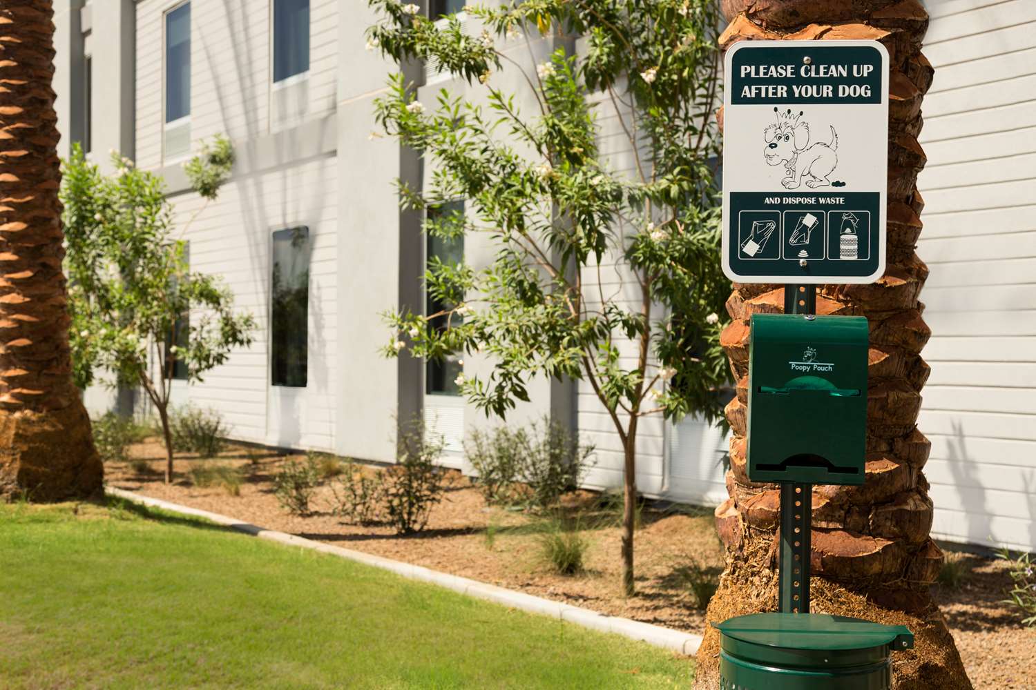 Фото Home2 Suites by Hilton Phoenix Chandler