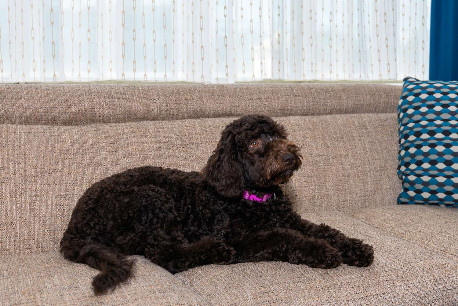 Фото Hampton Inn & Suites Buffalo Downtown