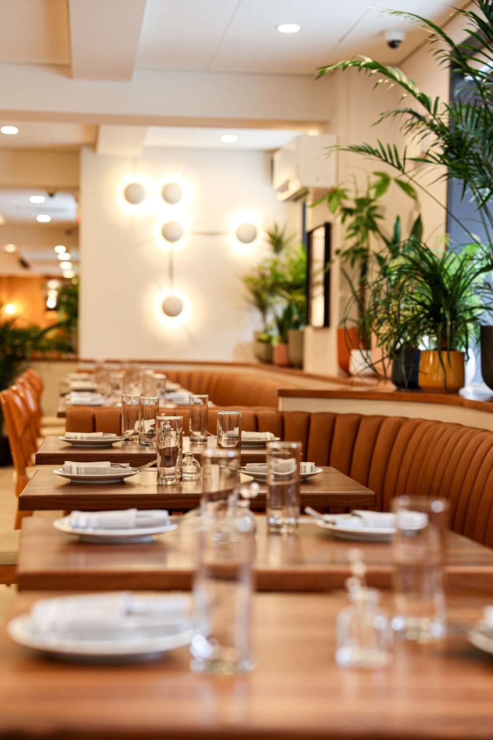 Фото Shelburne Hotel & Suites by Affinia