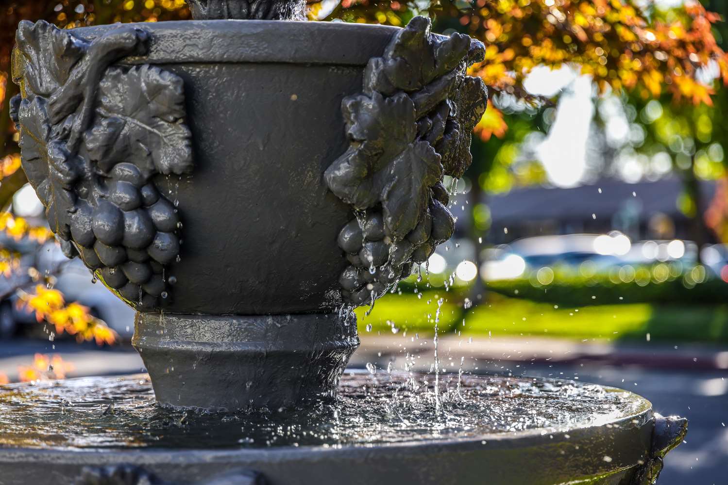 Фото Best Western Sonoma Valley Inn & Krug Event Center