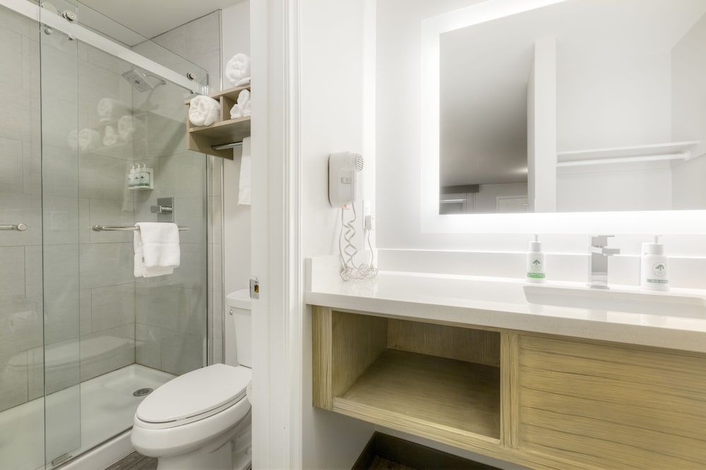 Фото GreenTree Inn Flagstaff