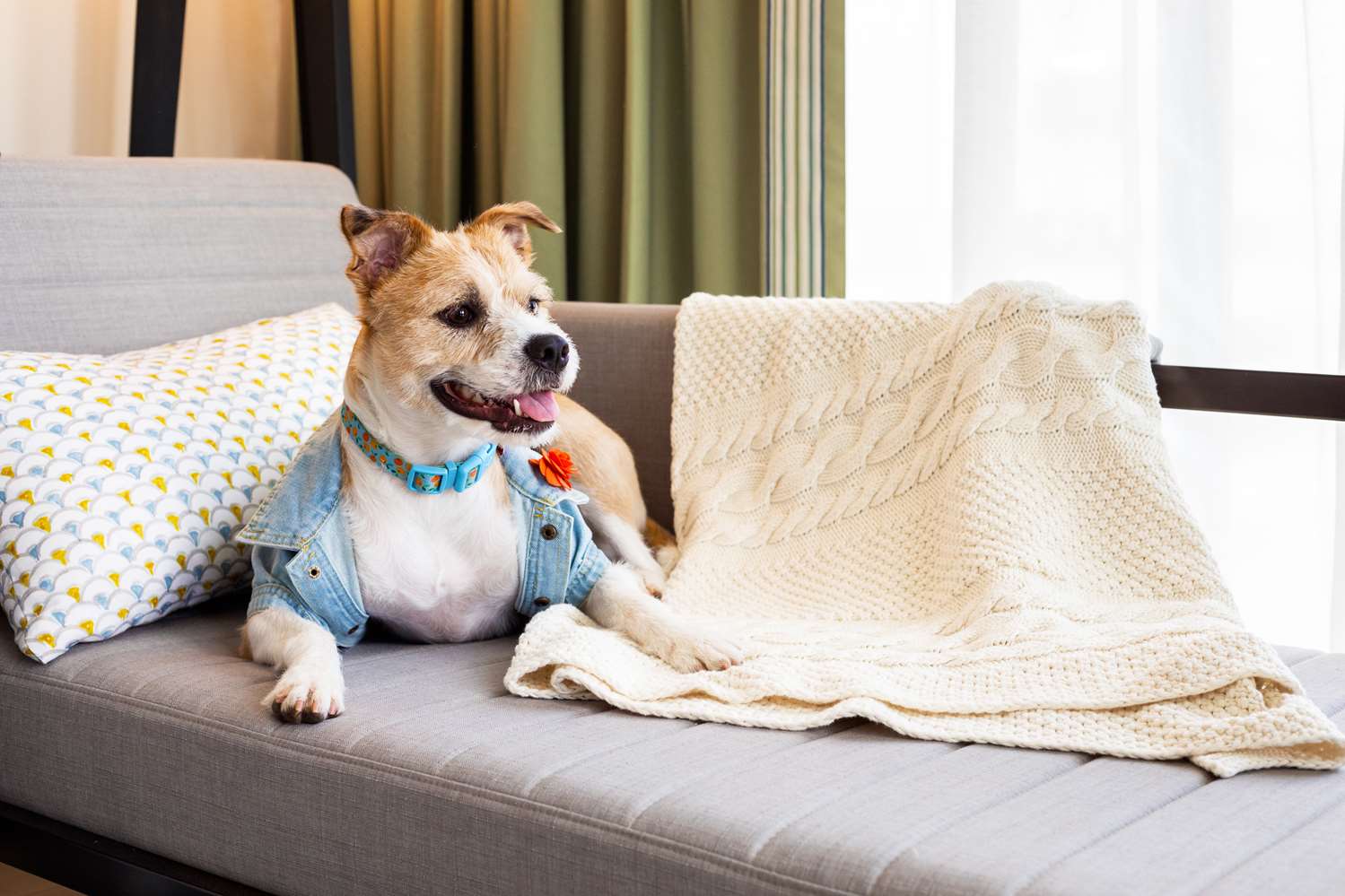 Фото Canopy by Hilton Charlotte Southpark