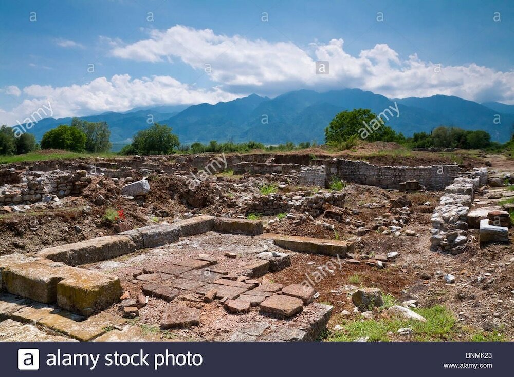 Фото Star Beach Resort