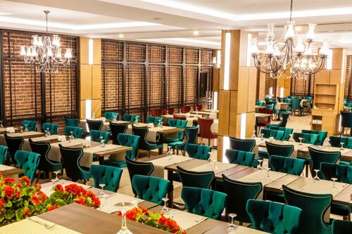 Гостиница Отель Gülümser Hatun Termal Otel в Кютахье