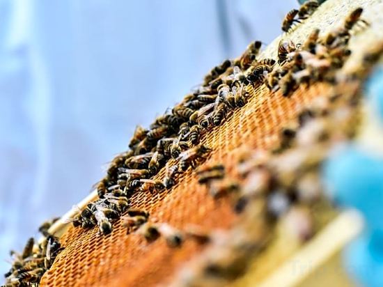 Фото Mercure Beaune Centre hotel