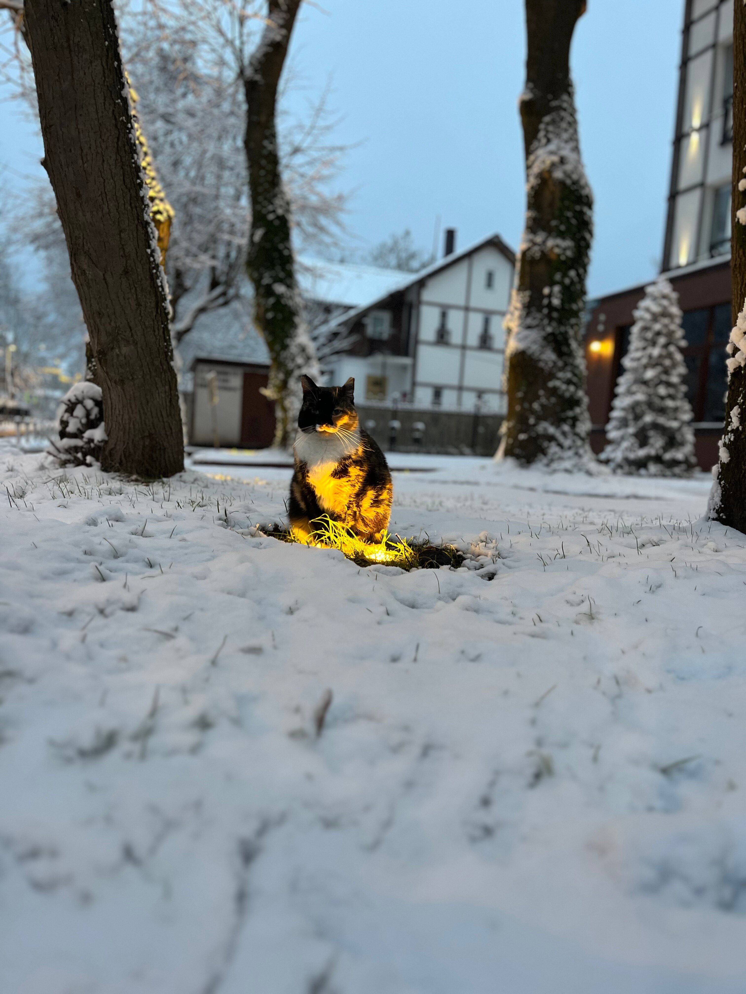 Фото Воскресенье