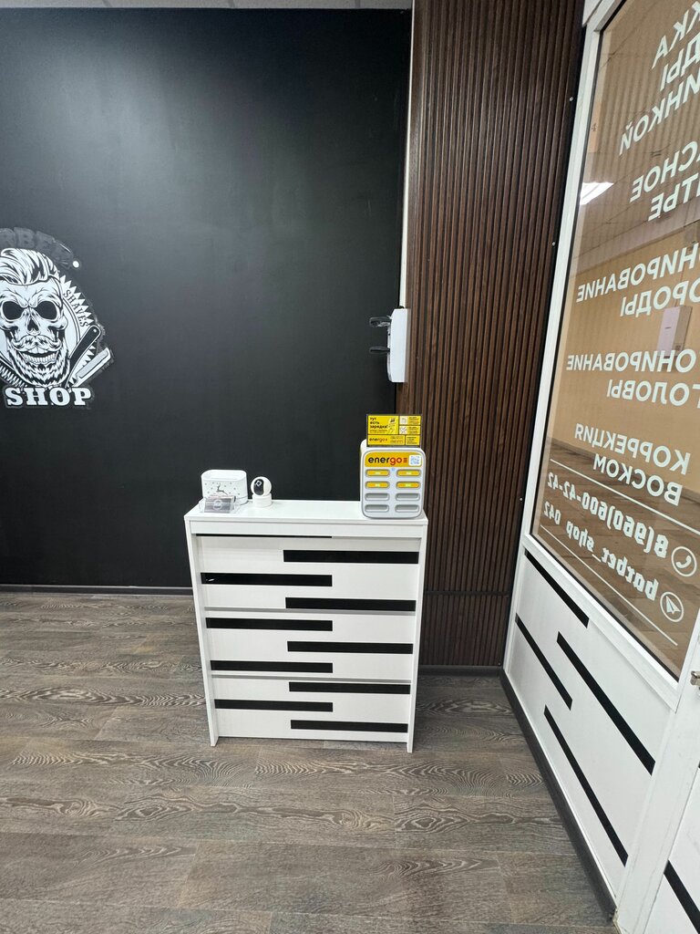 Power bank rental Energo, Tula, photo