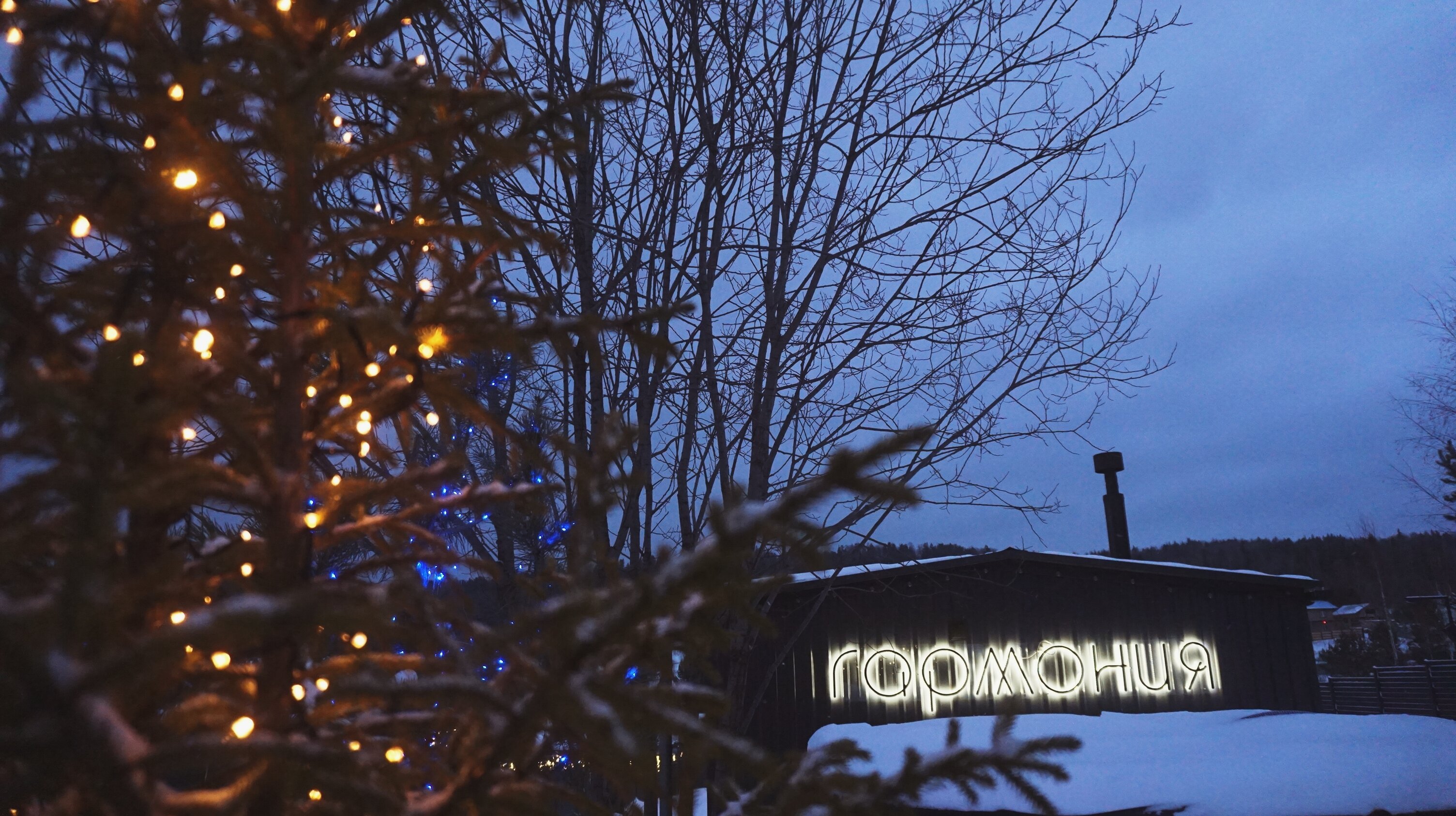 Фото Вдохновение природы