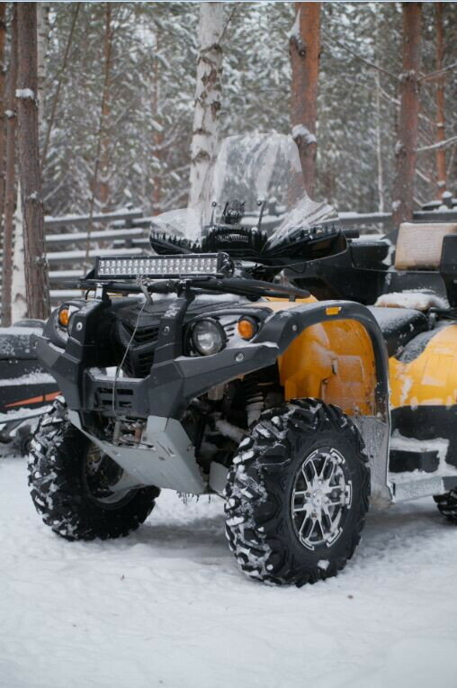 Фото Место под соснами