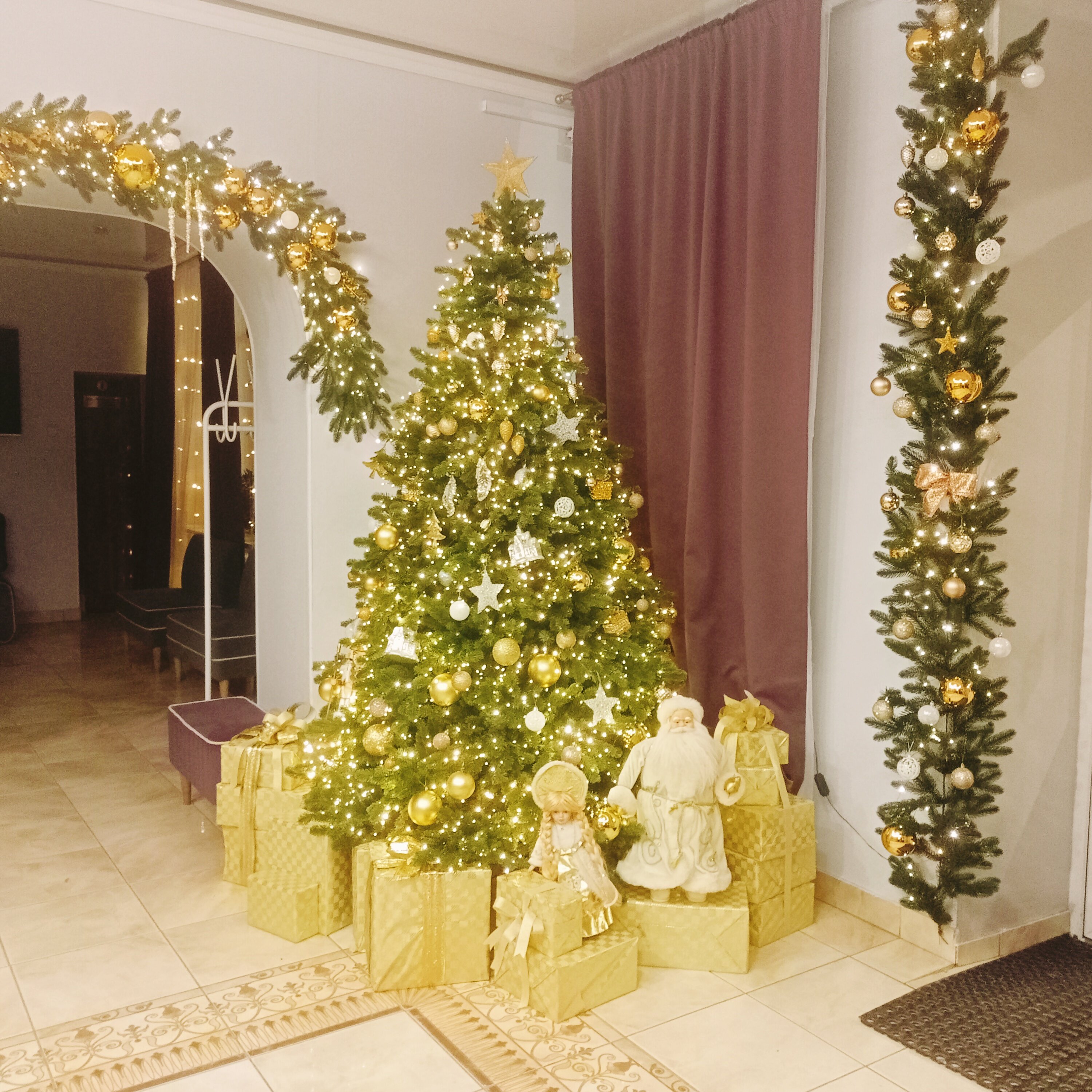 Фото Сухона