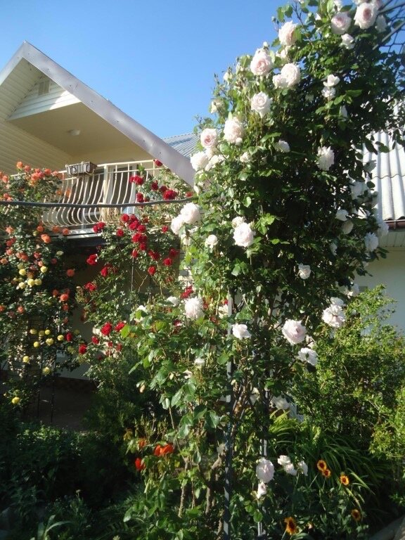 Фото Гостевой дом Прекрасная гавань