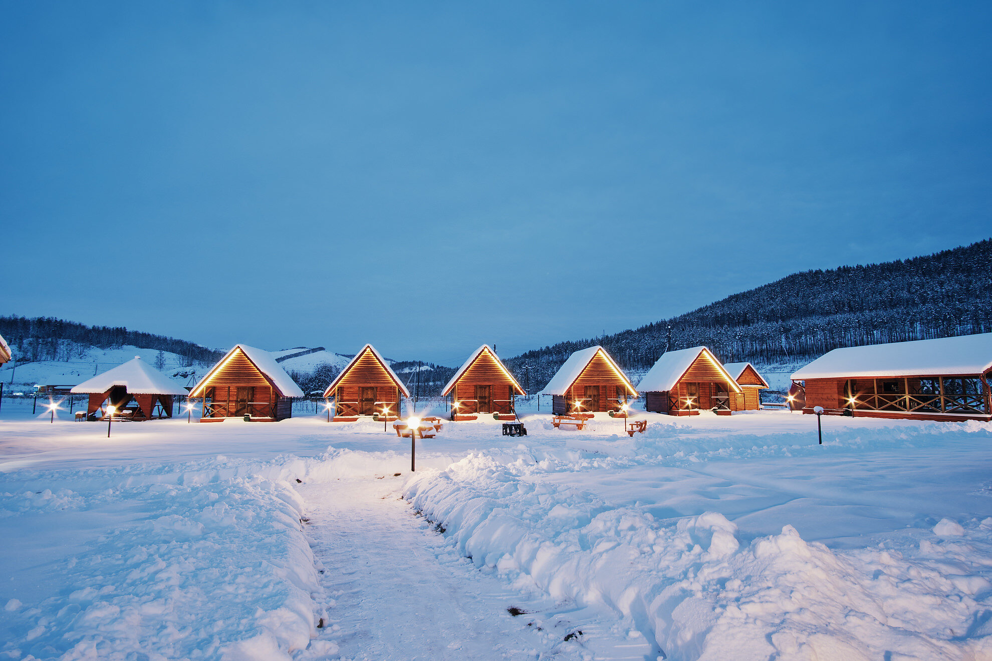 Фото Кедровый берег