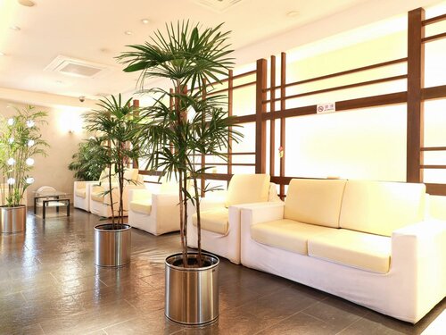 Гостиница Toyama Town Hotel в Тояме