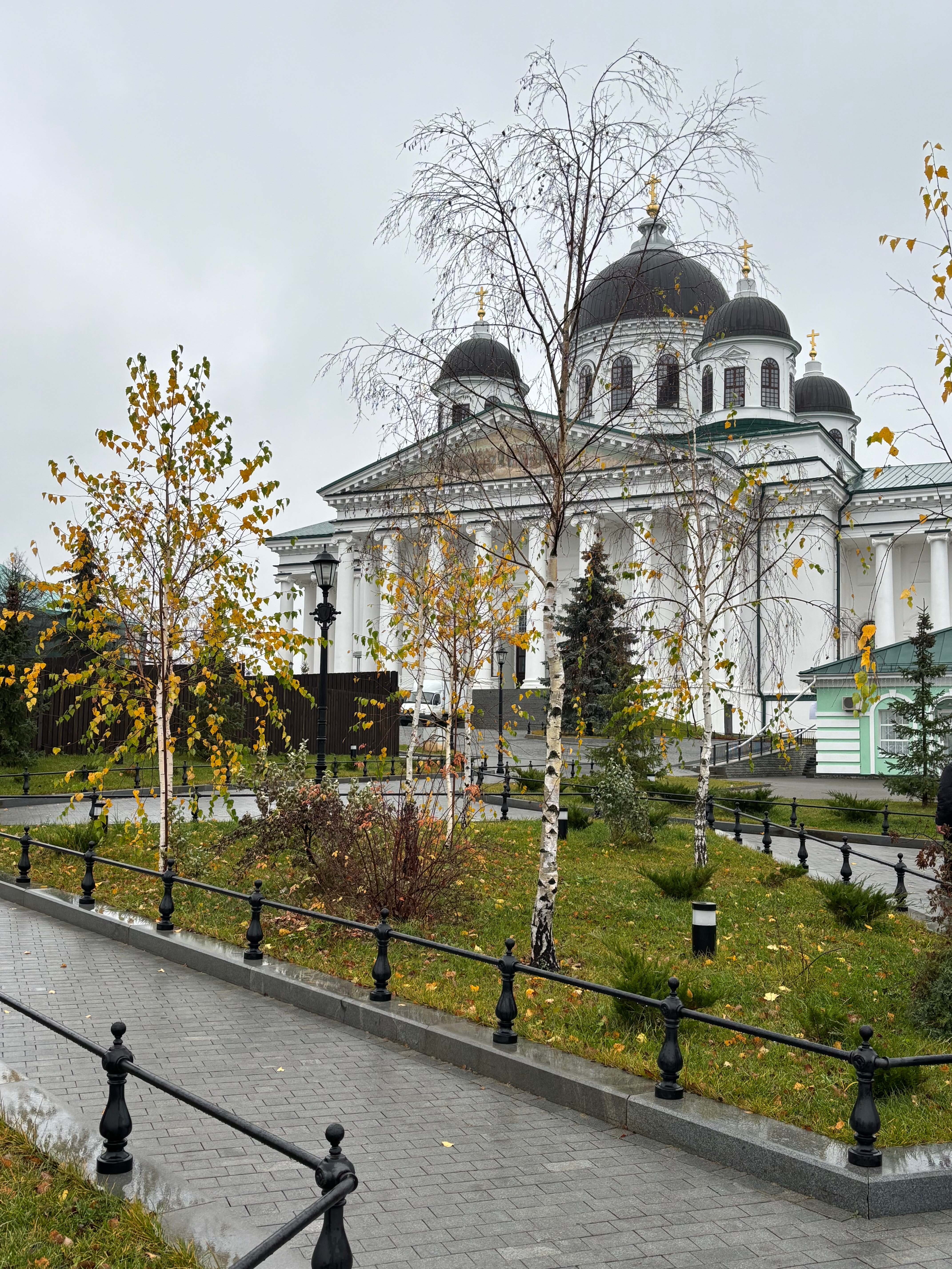 Фото Сальников
