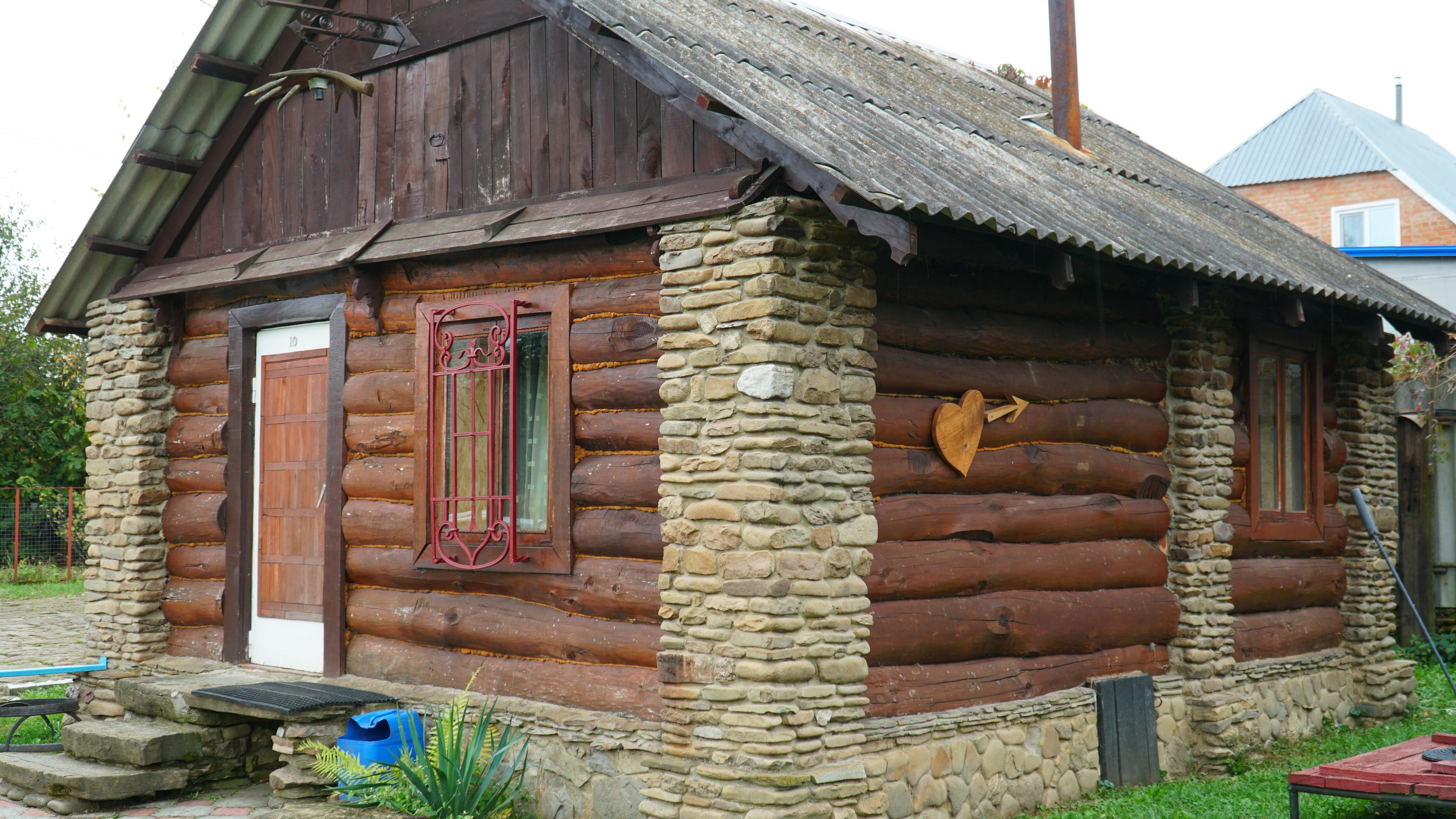 Фото Снежный Барс