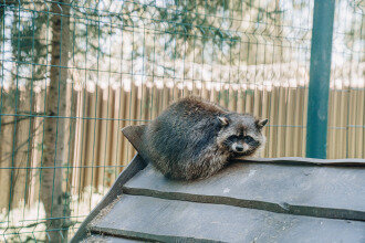 Фото Домъ купчихи Глинкиной
