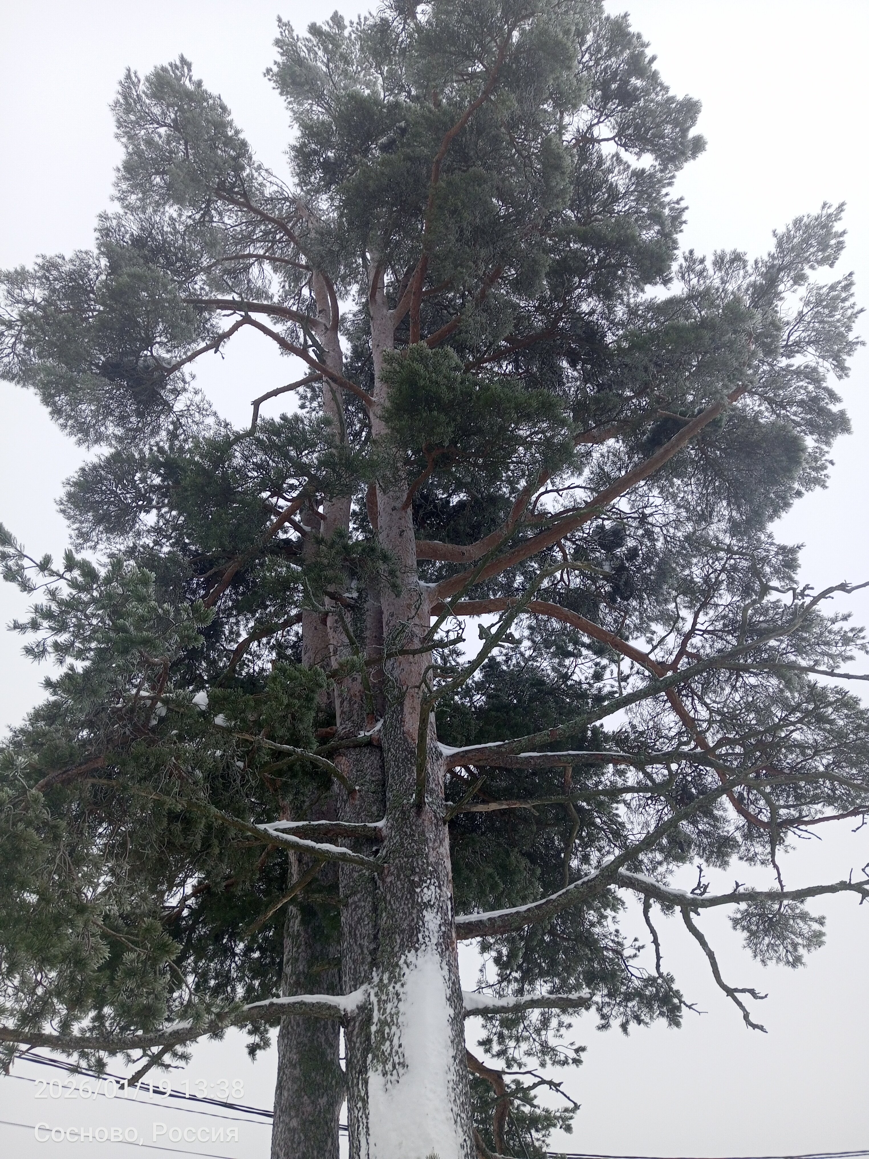 Фото Горки47