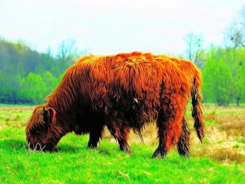 Внешний вид отеля Fletcher Hotel-Restaurant De Geulvallei в Валькенбурге, фото 5