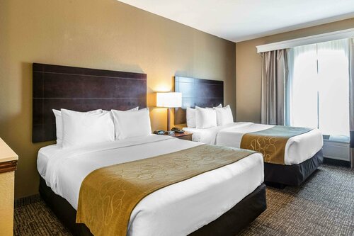 Гостиница Comfort Suites North