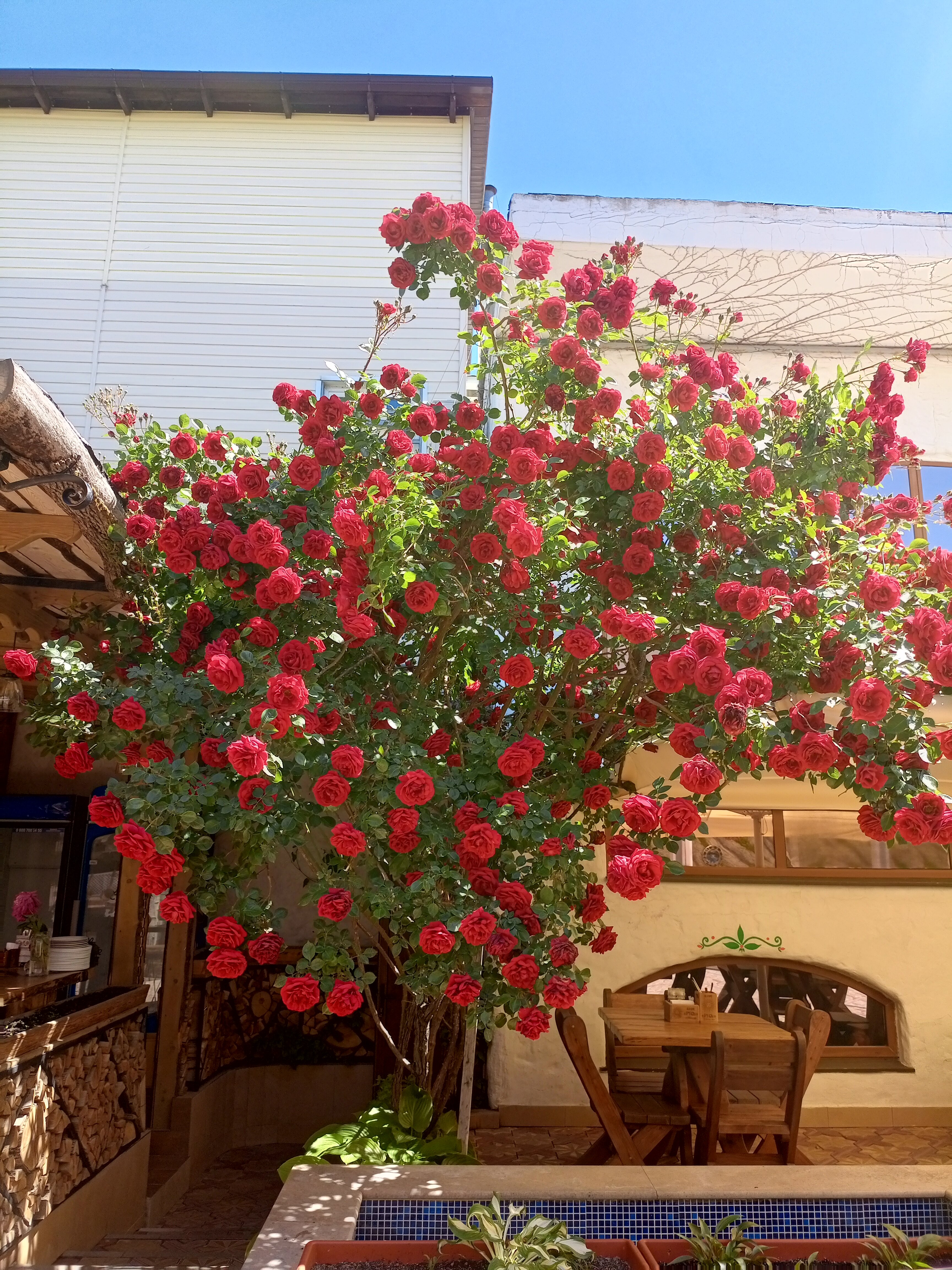 Фото Невский