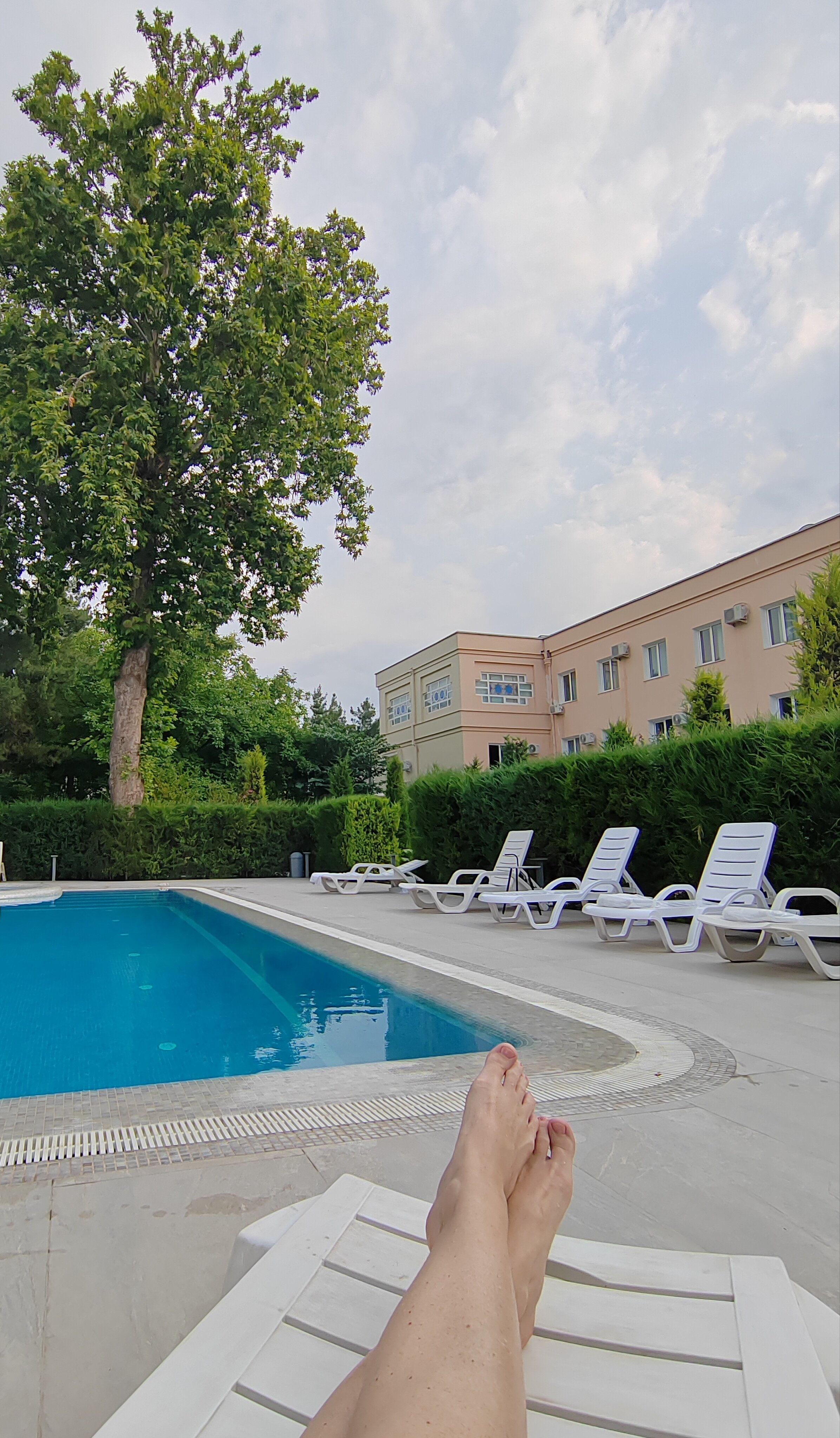 Фото Orient Star