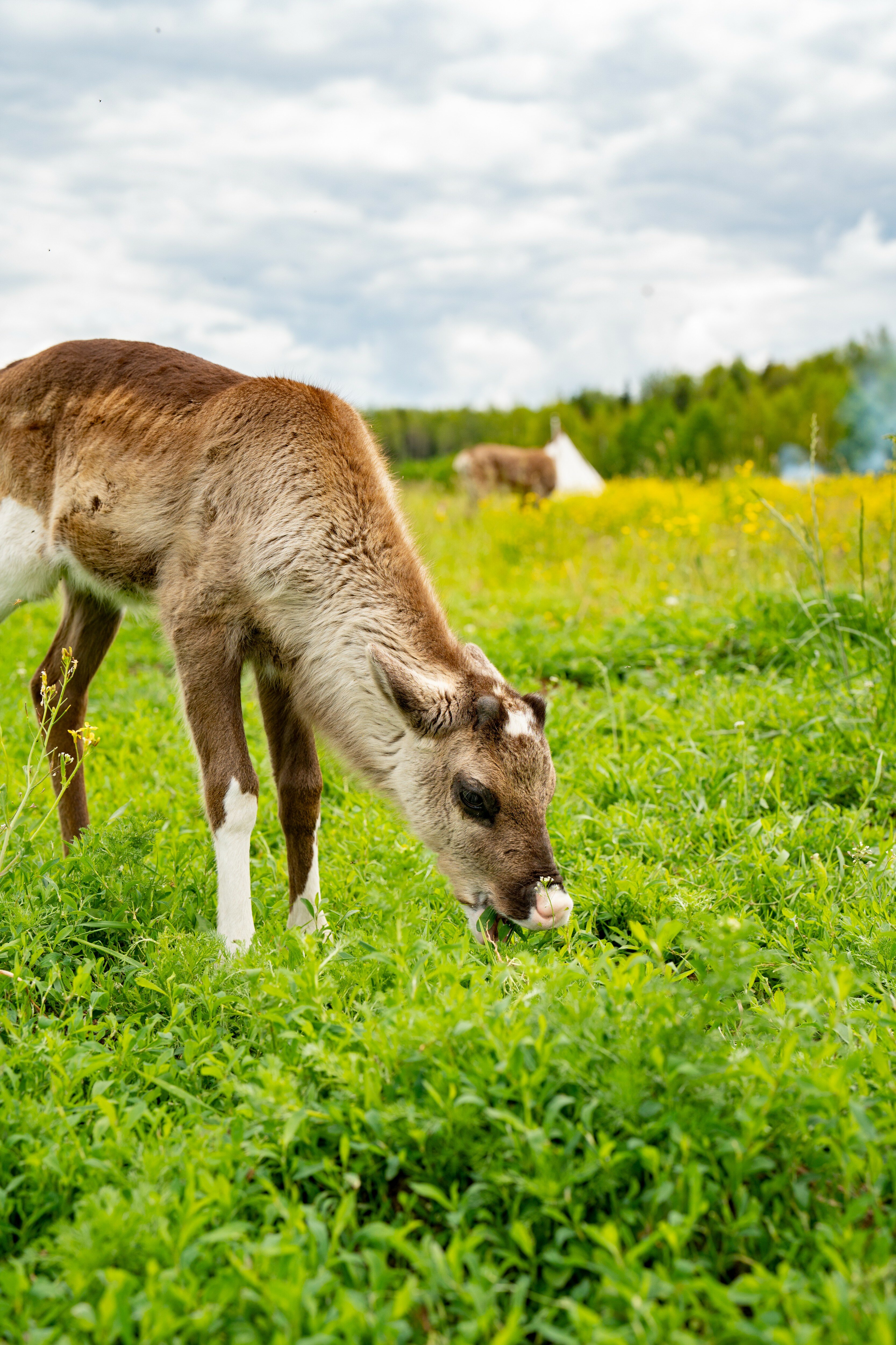 Фото Экоферма Вьюхово
